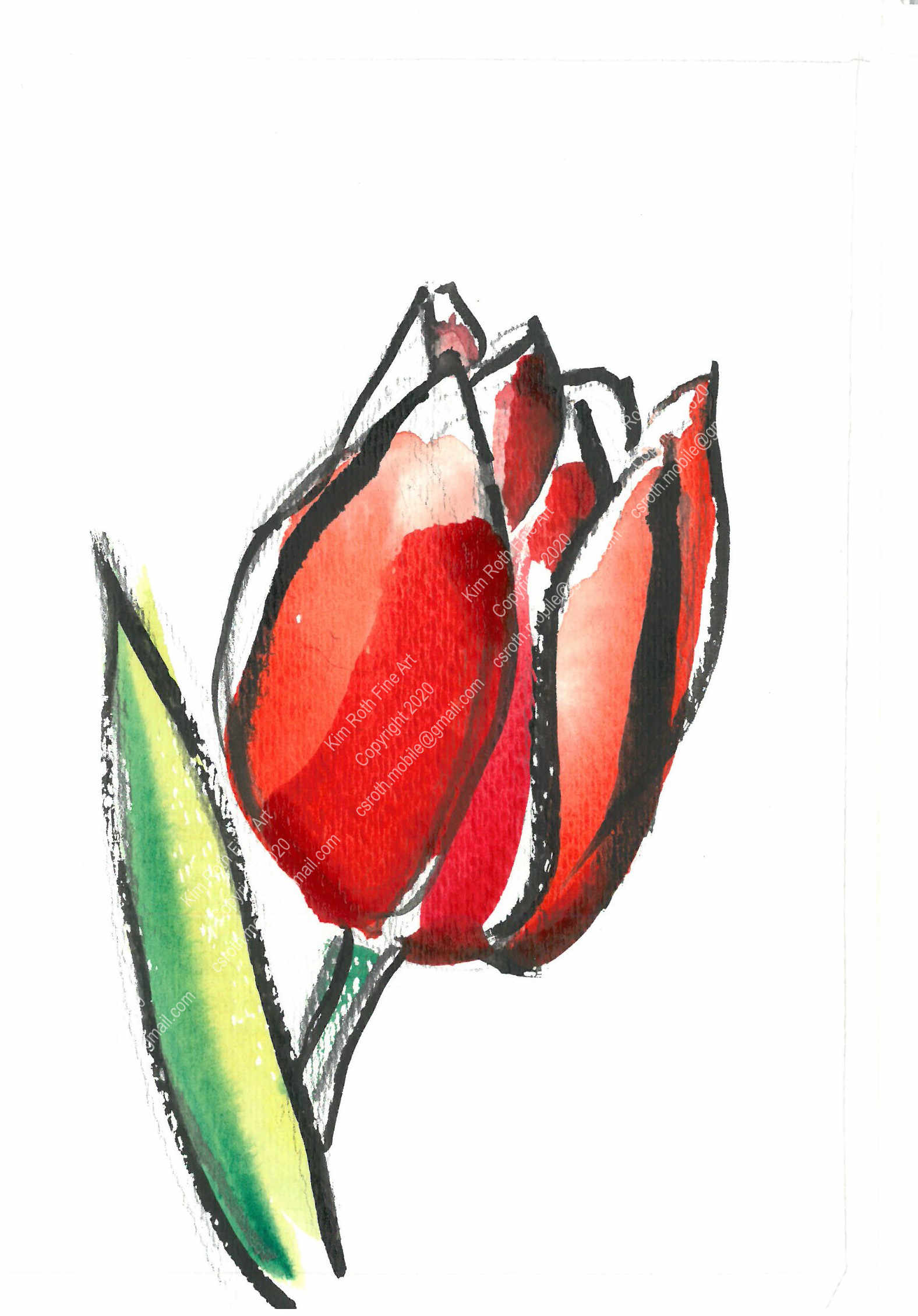 5x7 prints coming soon