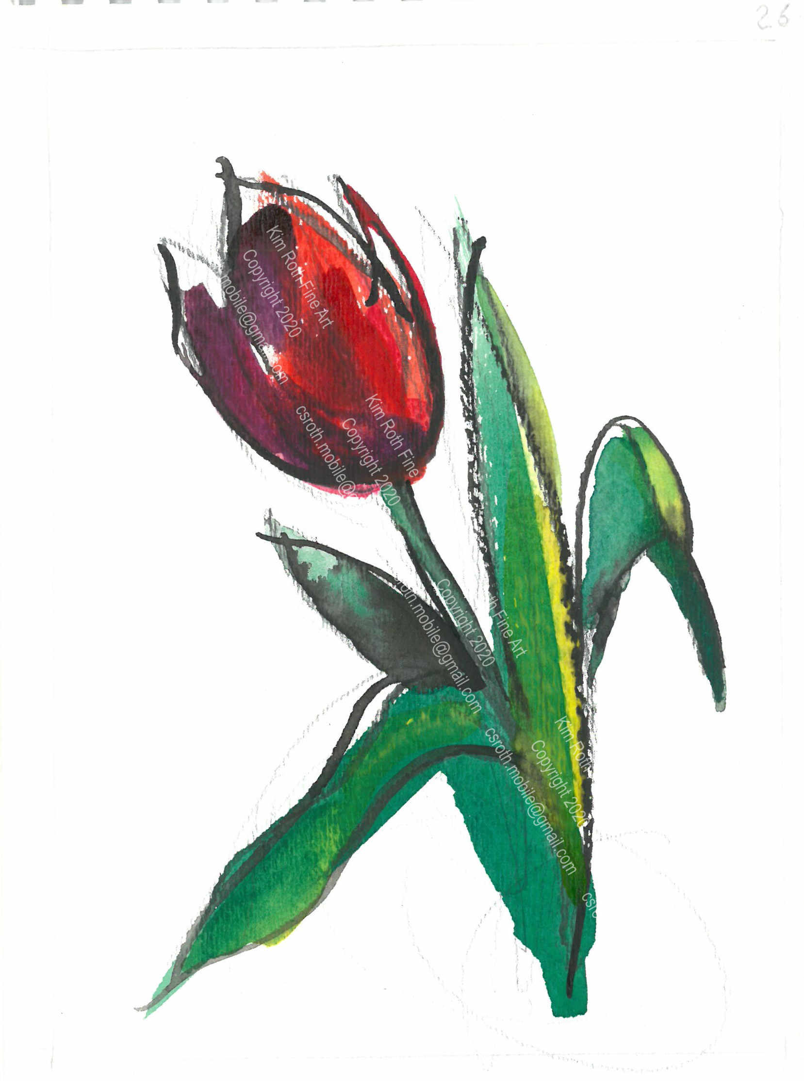 5x7 prints coming soon