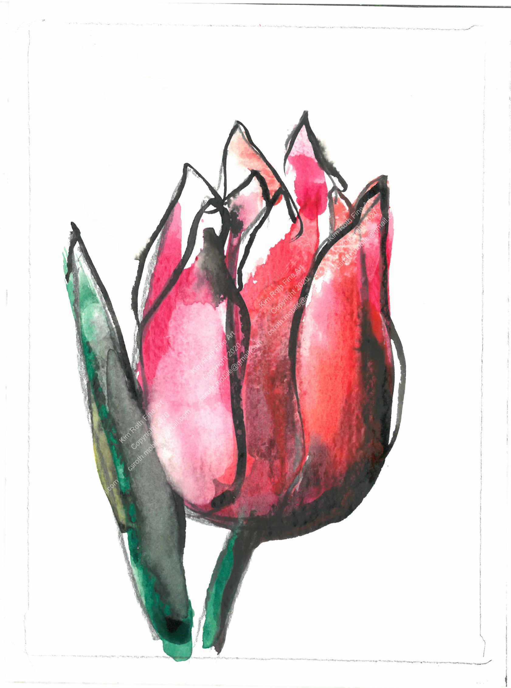 5x7 prints coming soon